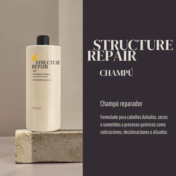 Version 1.0.0 Shampoo Kosswell Structure Repair 1 litro — pelo dañado