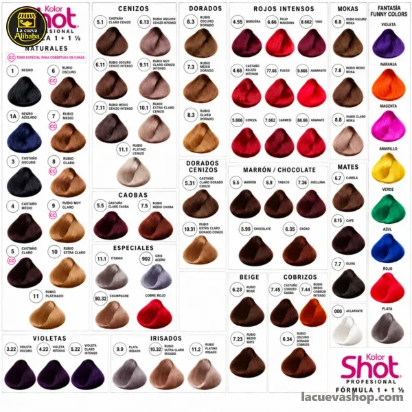 f10f7833-fd3f-443e-a305-bb27546831a4 Tinte permanente Shot 90 g — varios tonos