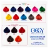 file_000000007e3881f9abd31a9d550df10a Tinte permanente Oggy 60 ml — varios tonos