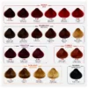 file_000000009f4c81f9aa1eff10fcecba76 Tinte permanente Oggy 60 ml — varios tonos