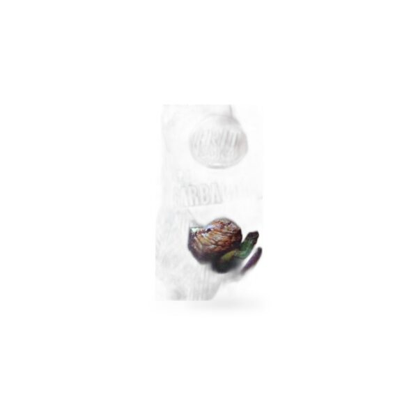 Chips Frit Ravich Barbacoa 125 g