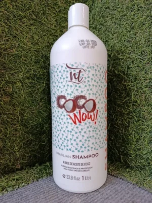 producto-728-1786652506456-1 Shampoo Nt Coco Wow 1 Ltr